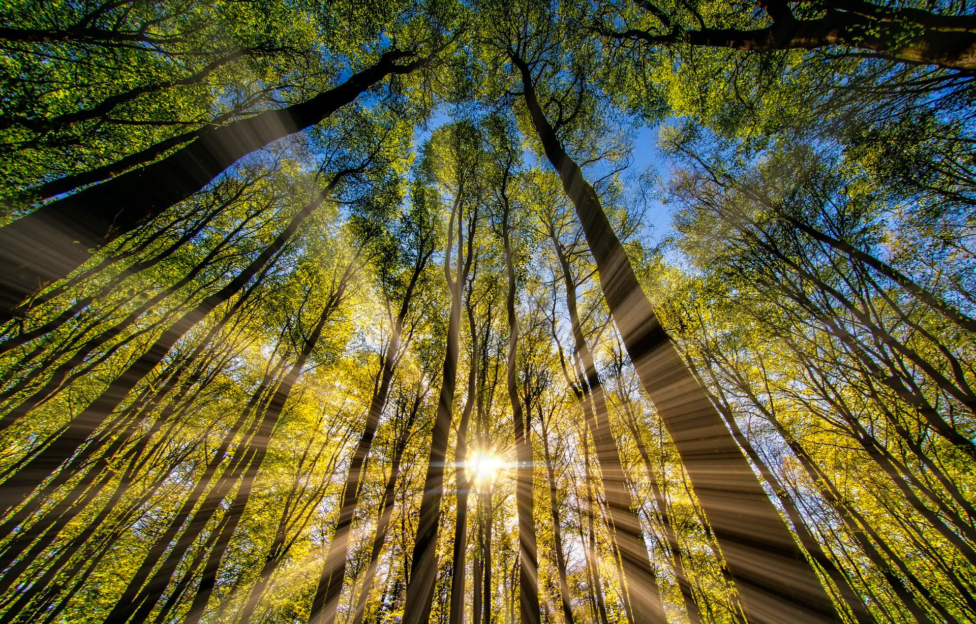 Breathe. Recieve. Rise.